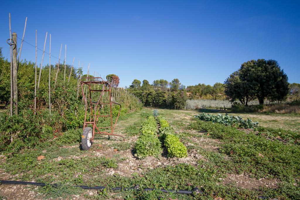 Les Residences De Metifiot Saint-Rémy-de-Provence Kültér fotó