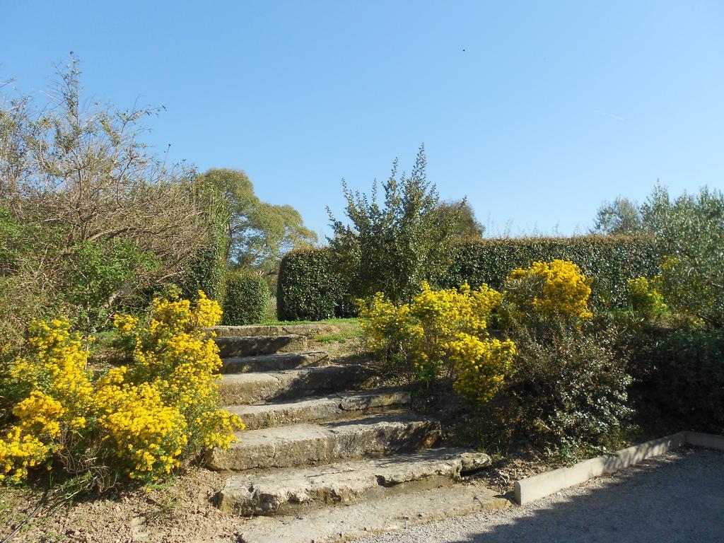 Les Residences De Metifiot Saint-Rémy-de-Provence Kültér fotó