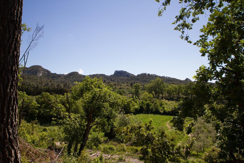 Les Residences De Metifiot Saint-Rémy-de-Provence Kültér fotó